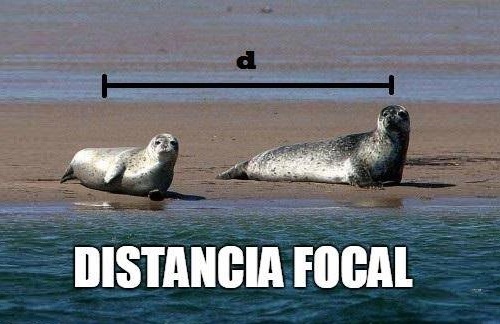 distancia-focal